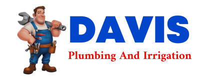 Trusted plumber in DEXTER CITY